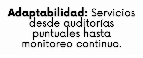 Apoyos para CI Estrategas  - Landing Page - 10